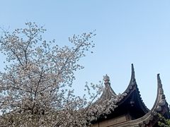 -苏州上方山国家森林公园