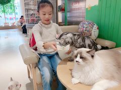 -藏猫猫咖啡主题馆(中央大道店)