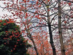 -烈士陵园(地铁站)