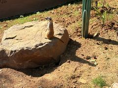 -合肥野生动物园