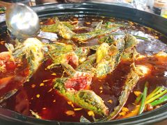 -金海椒罐罐鲢鱼(东方桂苑店)