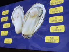 -战友蚝情烧烤工场(嘉华店)