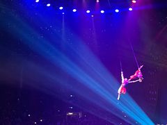 -珠海横琴长隆《卡卡虎奇遇记》