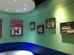 -上海昆虫博物馆