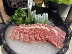 -猫爪爪原切自助烤肉(观音桥阳光世纪店)