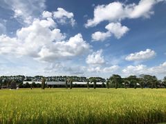 -迪茵湖田家舍生态农场