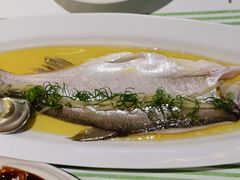 -季季山•云南野生菌火锅(上海首店)