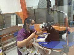 -惠康宠物医院(华能路店)