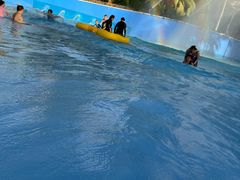 -亚马逊丛林水乐园