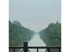 -黄海国家森林公园
