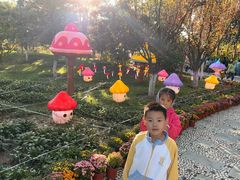 -燕郊植物园