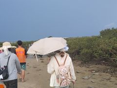 -红树林天天赶海