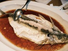 -宁波柏悦酒店·钱湖渔港