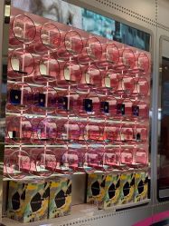 -ANNA SUI
