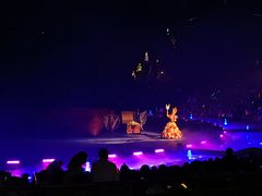 -广州长隆国际大马戏