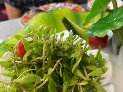 -中卫御苑福膳·养生局(圆明园店)