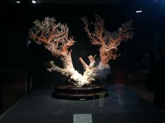 -台北故宫博物院