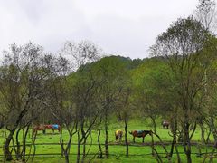 -大水川景区