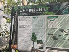 -天目山大树王景区