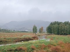 -四明湖