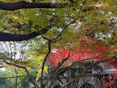 -湖畔居茶楼(湖滨店)