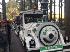-日照海滨国家森林公园
