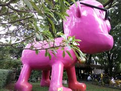 -宁曼路