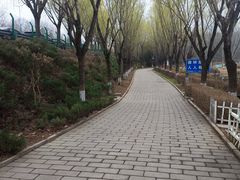 -云岗森林公园