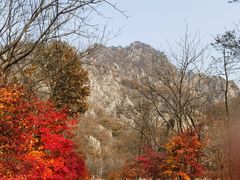 -大连天门山国家森林公园