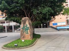 -德阳五中