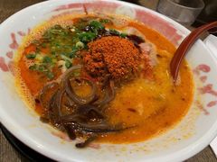 -豚王拉面(铜锣湾店 )