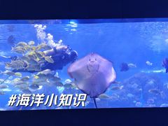 -重庆欢乐海底世界