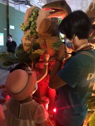 -恐龙探索乐园(磁器口店)