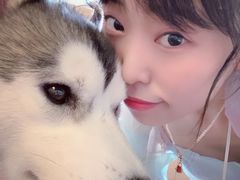 -Husky Go! 哈士奇体验馆·宠物咖啡厅狗咖