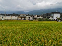 -喜林苑·稻田餐厅(品相府店)