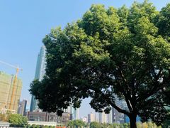 -西北湖绿化广场