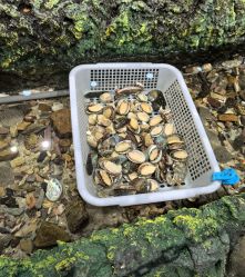 -钓虾工场·钓虾·赶海(回龙观店)