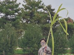 -汉长安城未央宫国家考古遗址公园