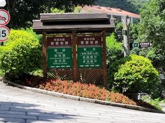 -青青世界
