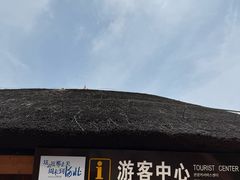 -白洋淀景区