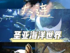 -大连圣亚海洋世界