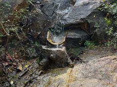 -黑龙潭风景区