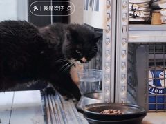 -舊新事咖啡NOTHING NEW COFFEE