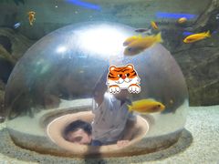 -绿色星球动物主题公园