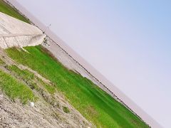 景点-南汇嘴观海公园