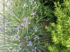 -长春市南湖公园