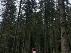 -硗碛藏寨·神木垒景区