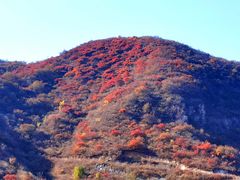 -水峪民俗村
