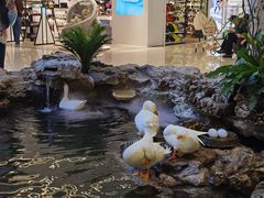 -赛格国际购物中心(小寨店)