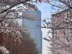 -南京明基医院